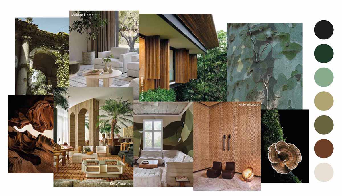 Ceiling & Wall Design in 2025 NZ - What’s Winning Architect Specs