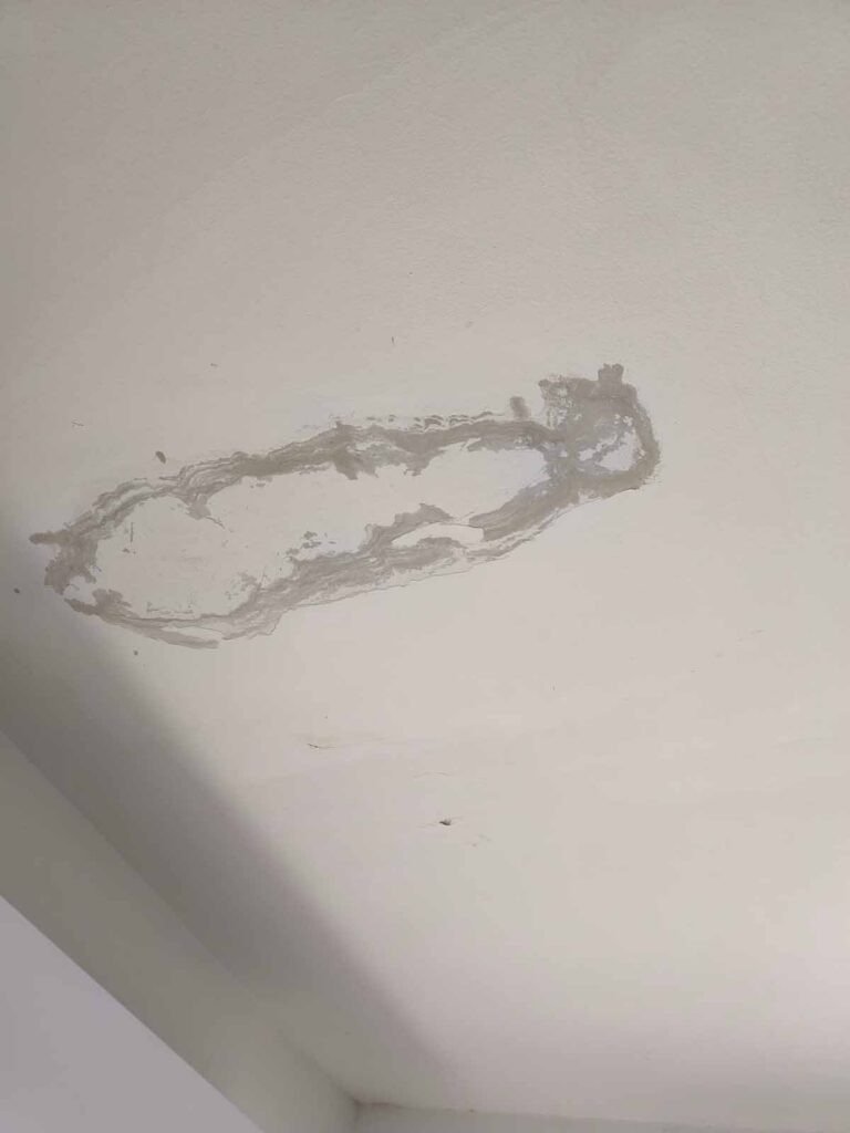 Ceiling water damage with peeling paint and stained plasterboard requiring repair or replacement