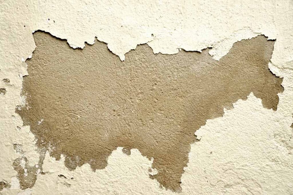 Paint peeling away from an old plaster wall, exposing the bare surface a buyer's building inspector would note